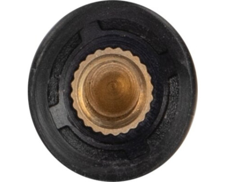 Antenna boom 16V "low noise" AM/FM 20cm, with M5 and M6 adapters, Image 4