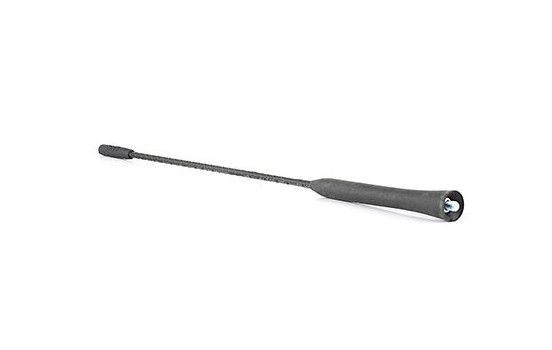 Antenna, Image 2