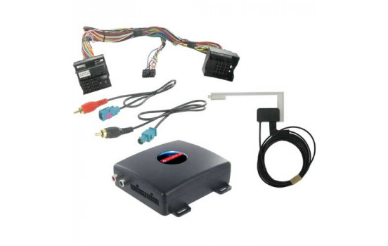 DAB Interface Ford