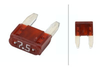 Fuse