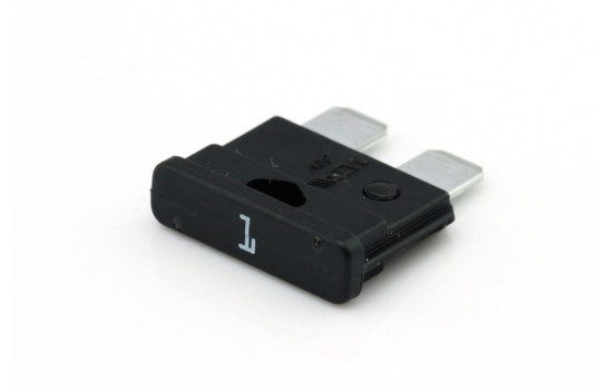 Mini Blade Fuse