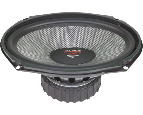 AUDIO SYSTEM 6x9 Midrange Woofer. Special speaker for Mini and American models