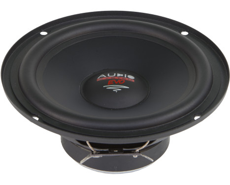 AUDIO SYSTEM RADION 165mm Midrange paper diaphragm dual coil speaker