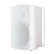 DLS 165 mm 2-way weatherproof speaker MB6i white