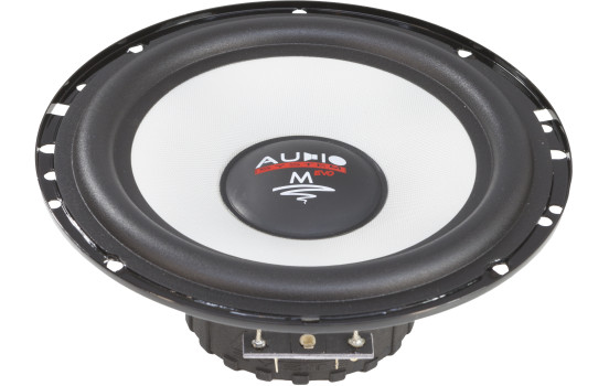 MS-SERIES 165mm midrange glass fiber diaphragm speaker