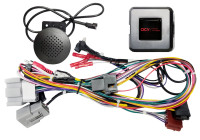 SWI Ford Fiesta 24Pin/Display Multilead (42sfo005)