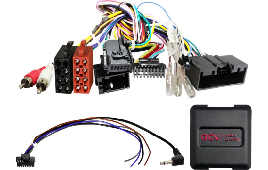 SWI Ford Various Vehicles 24Pin/Display Multilead