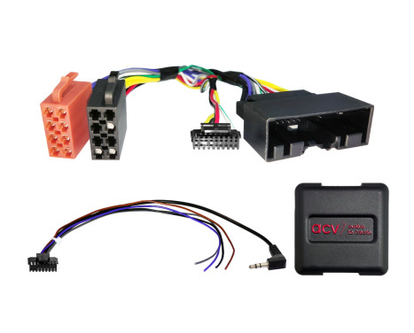 SWI Ford Vehicles 24Pin/without display Multilead (42sfo015)