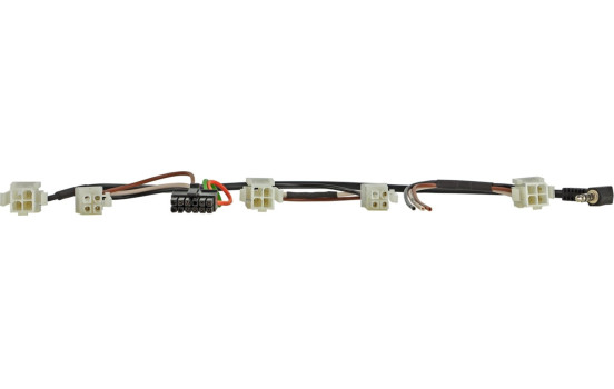 SWI Multilead with diode Pioneer 2022>, Image 2