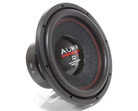 RADION Series 300 mm HIGH EFFICIENT Subwoofer 2x 500/300 Watt, Image 6