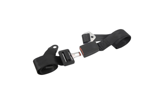 Safety belt adjustable 2-point