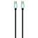 Carpoint USB-C > USB-C cable 2 Meter