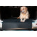Rubbasol (Rubber) Universal 'Doggy Mat'/ Trunk Protector - Small - 75x65cm Gledring, Thumbnail 5