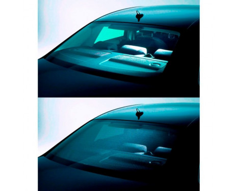 Sonniboy Volkswagen Golf VIII Variant 2020-, Image 2