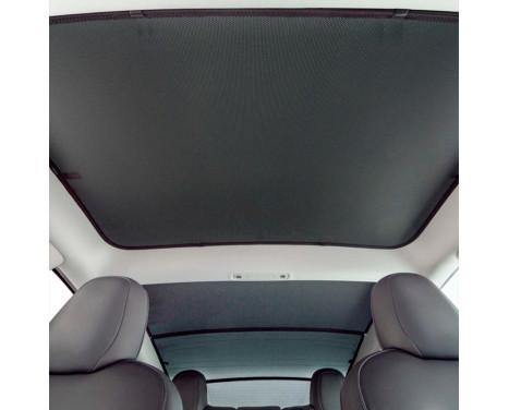 Sonniboy for the front panoramic roof suitable for Tesla Model 3 2017-