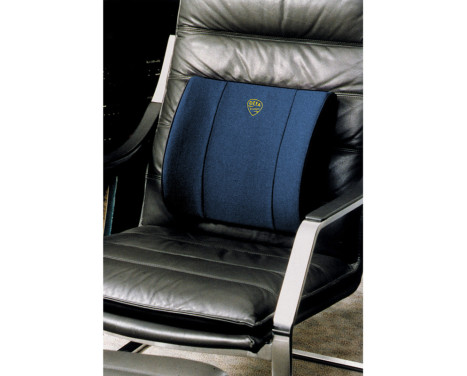 Defa Lumbare blue lumbar cushion, Image 4