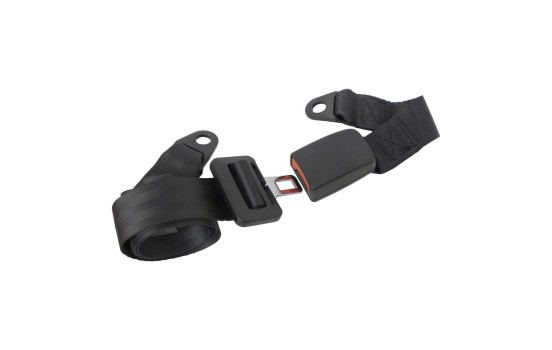Safety belt 2-point