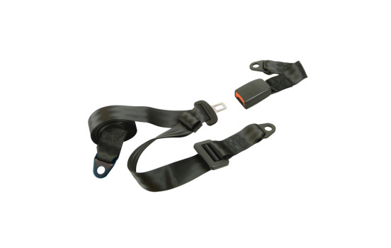 Seat belt 3-point static
