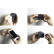 Apple iPhone 6 / 6S / 7 / 8 / X / SE 2nd gen 2020 Passive Adjustable Passive Holder, Thumbnail 5
