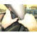 ProClip - Kia Soul 2009-2013 Left mount, Thumbnail 3