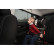 Privacy Shades (rear doors) suitable for Audi A4 B9 Avant 2015- (2-piece) PV AUA4EC18, Thumbnail 7