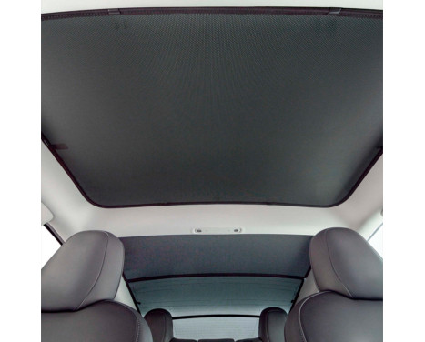 Sonniboy for the front panoramic roof suitable for Tesla Model 3 2017- CL 10206PDV