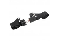 Safety belt adjustable 2-point