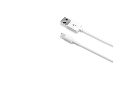 Celly Data cable Iphone lightning 1 meter white