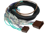 SISTEMA DE AUDIO PLUG and PLAY ADAPTADOR DE 5 CANALES ALTOS-BAJOS para X-AMP-MD