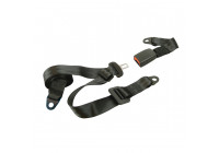 Cinturón de seguridad estático de 3 puntos