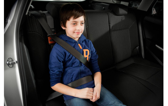 Guía del cinturón de seguridad, Imagen 5