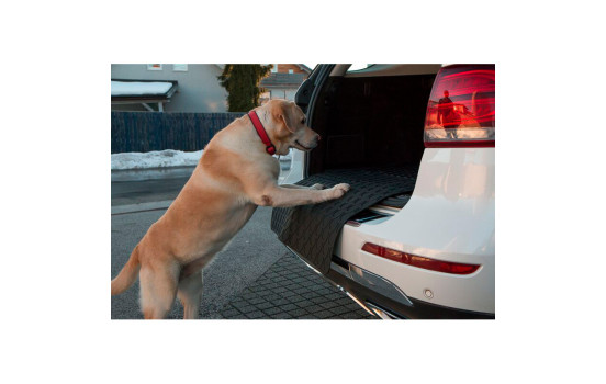 Protector universal para maletero de perro Rubbasol (goma) - Pequeño - 75 x 65 cm, Imagen 6