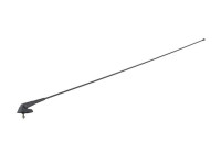 Antena