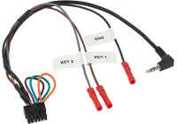 SWI Multilead