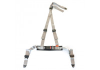 Cinturón deportivo de carreras de 3 puntos plateado + marca E (2 pulgadas)