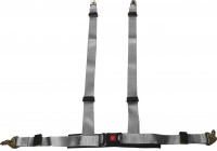 Cinturón deportivo de carreras de 4 puntos plateado + marca E (2 pulgadas)