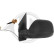 Ytterspegel 2274025 Diederichs, miniatyr 2
