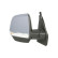Ytterspegel, miniatyr 2