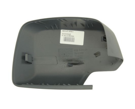 Hus, backspegel, bild 2