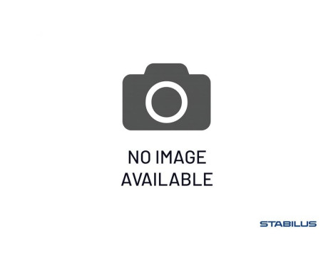 Gasfjäder, bagageutrymme 831732 Stabilus