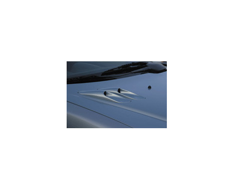 RGM Hood luftintag Peugeot 206 (ersätter den Orginal), miniatyr 2 RGM Hood luftintag Peugeot 206 (ersätter den Orginal), miniatyr 2