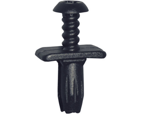 Skruv Nail OEM: 1629549 - 6743363 - 5 enheter