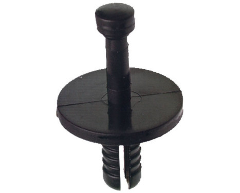Sprid Nail OEM: 51481884779 - 20 st