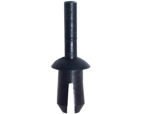 Sprid Nail OEM: n10032301 - 5 st
