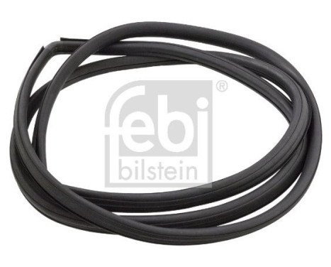 Tätning, vindruta, bild 2