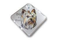 Car Tattoo Sticker York ombord - 11,5x11,5cm