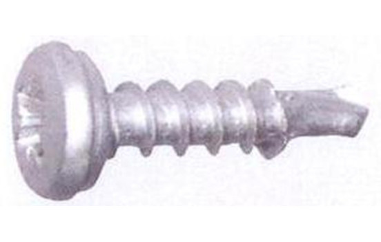 Skruv för registreringsskylt 20 stycken 5,0X19 mm