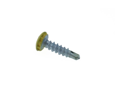 Skruv för registreringsskylt Stöldskydd 20 stycken 6X23 mm