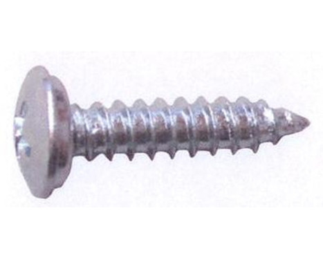Skruvar för registreringsskyltar 20 stycken 4,8 x 16 mm