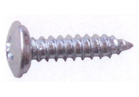 Skruvar för registreringsskyltar 20 stycken 4,8 x 19 mm